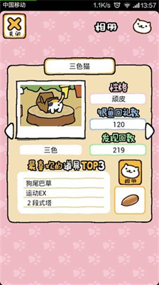 猫咪后院3dm汉化版