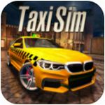 出租车模拟器最新下载安卓版