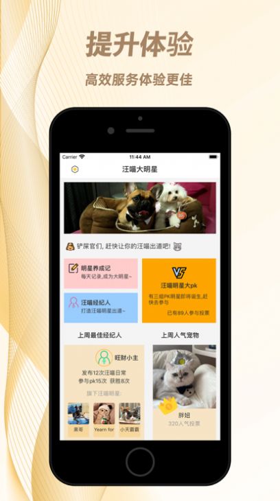 汪喵大明星养宠APP最新版图片1