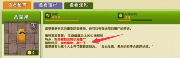 植物大战僵尸空中飞人怎么打